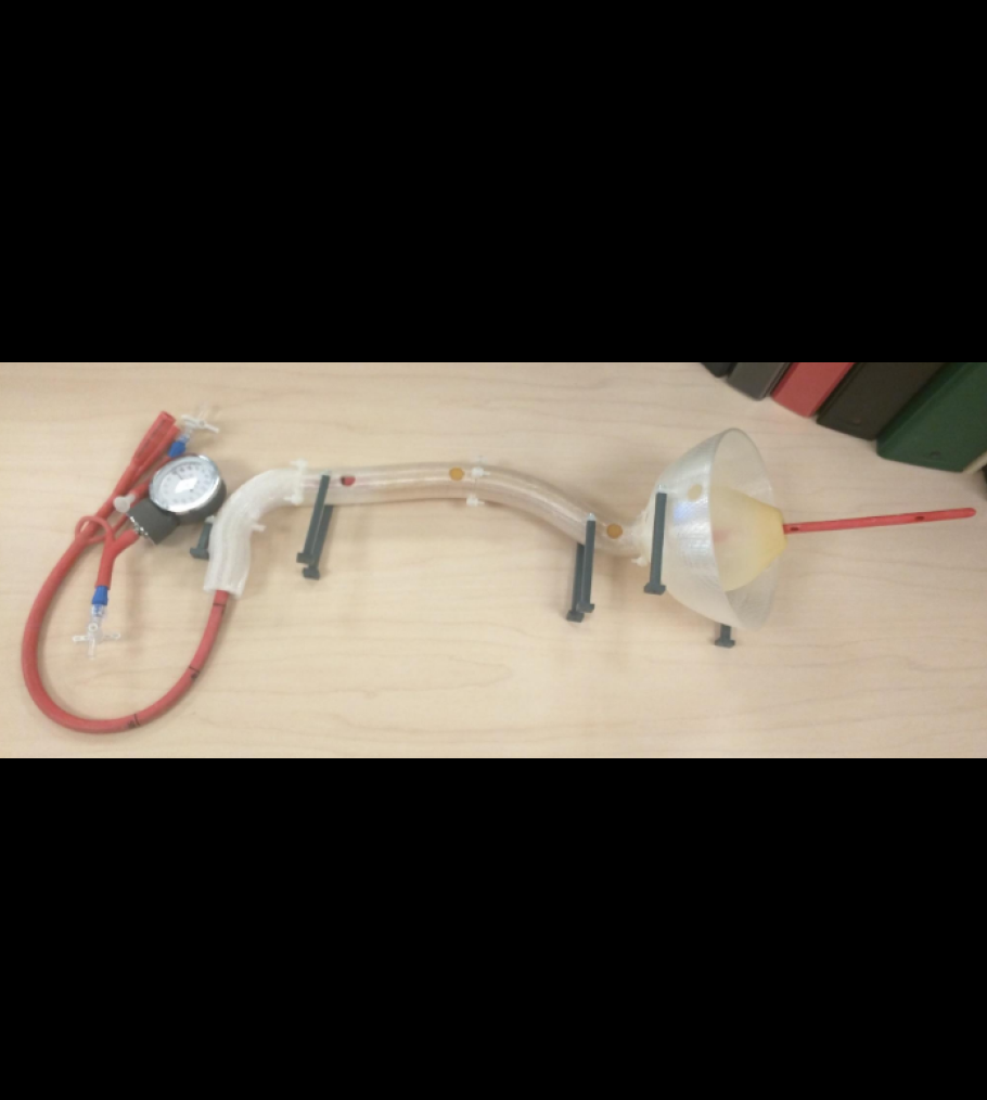 Simulation-based Training of Balloon-Tamponade Tube Placement for the Treatment of Variceal Hemorrhage